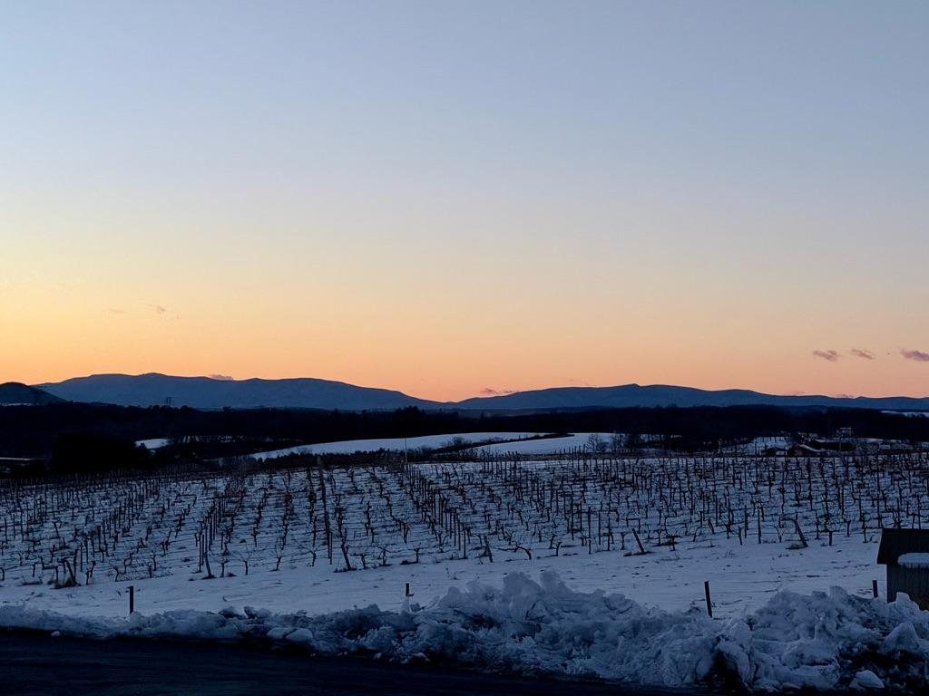 Snowy vineyard at sunset near Wintergreen Virginia