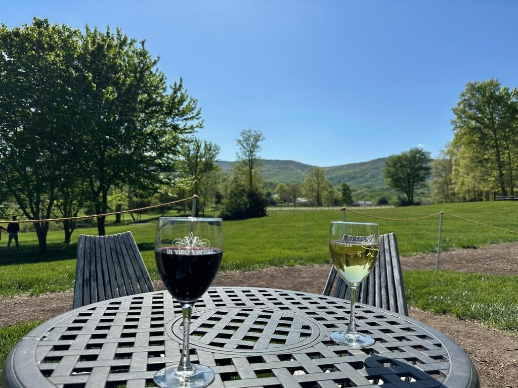 Veritas Vineyard daytime wine tasting near Wintergreen